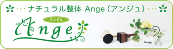 箕面のナチュラル整体　Ange（アンジュ）